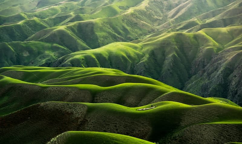 South American landscape